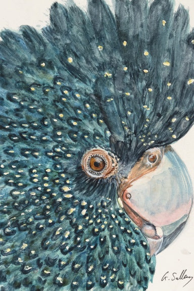 Book Cover Variant Thumbnail