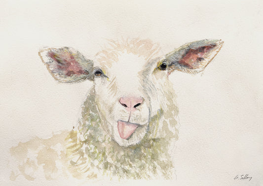'Sheepie' Original Watercolor Prints